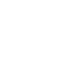 Security icon